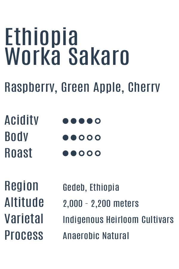 Ethiopia Worka Sakaro